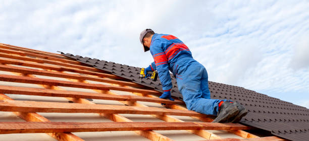 Best Roof Maintenance and Cleaning  in Kenly, NC